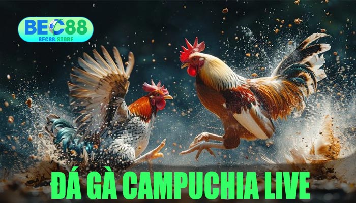 Đá Gà Campuchia Live